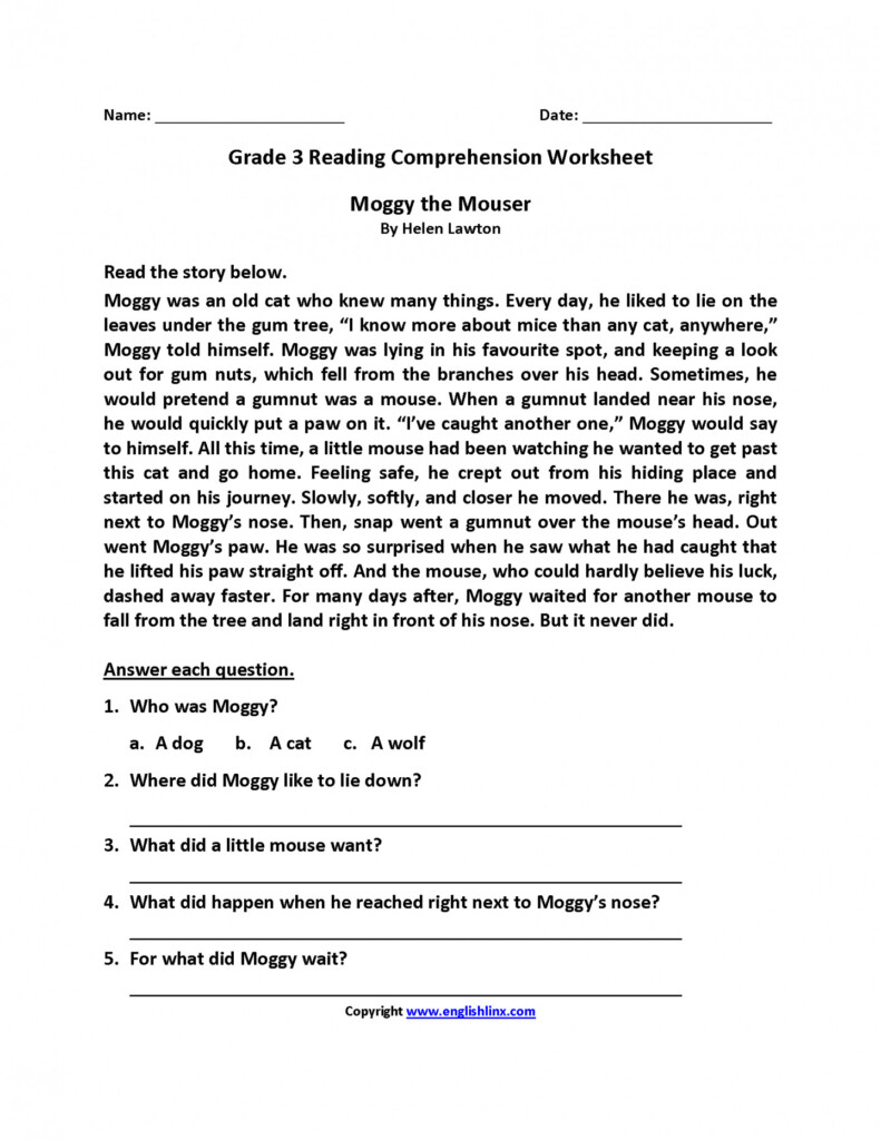 10 Reading Comprehension Worksheets For 3Rd Graders Coo Worksheets