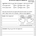 2nd Grade Science Printable Worksheets Common Core Worksheets