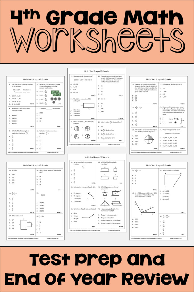 4Th Grade End Of Year Math Worksheets My Pet Sally