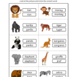 Animals Worksheet For Kindergarten Pdf Iykasku Roneko