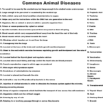 Common Animal Diseases Worksheet WordMint