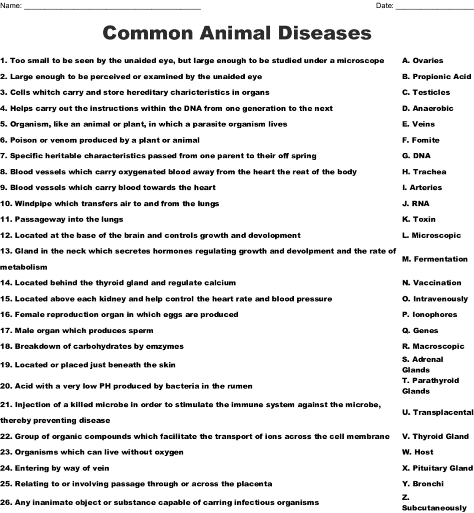 Common Animal Diseases Worksheet WordMint