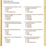 Common Core 7th Grade Science Worksheets Scienceworksheets
