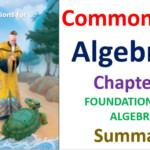 Common Core Algebra 1 Unit 1 Foundations For Algebra Chapter Plan