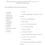Common Phrasal Verbs Worksheet