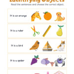 Identifying Objects Worksheet