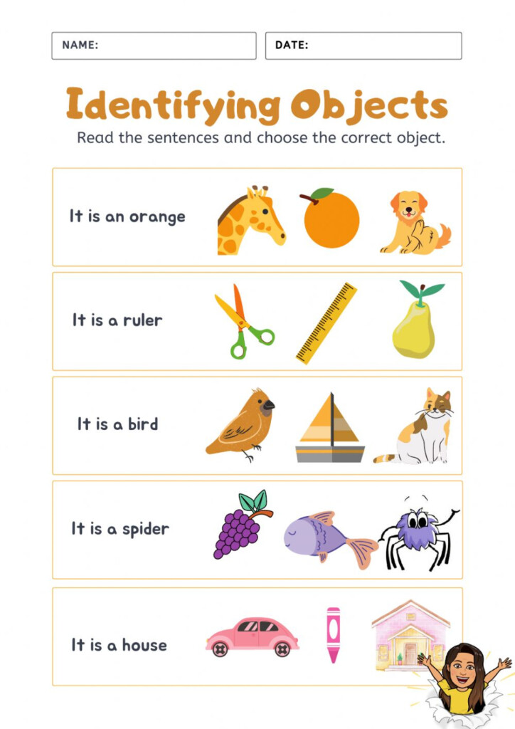 Identifying Objects Worksheet