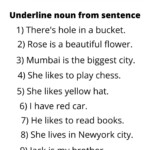Noun Worksheet Grade 3 Underline Noun From Sentence Nouns Worksheet