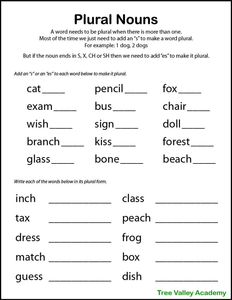 Plurals Worksheets Grade 6
