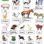 Poster Pictionary Of The Most Common Farm Animals Matching Animals To