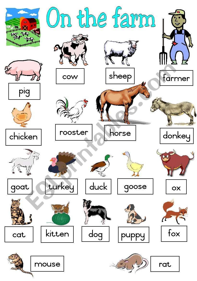 Poster Pictionary Of The Most Common Farm Animals Matching Animals To 