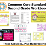 Second Grade Common Core Workbook USB