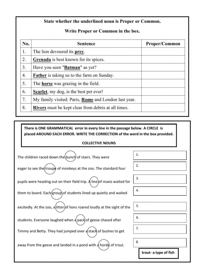 Types Of Nouns Proper Common Collective Nouns Worksheet