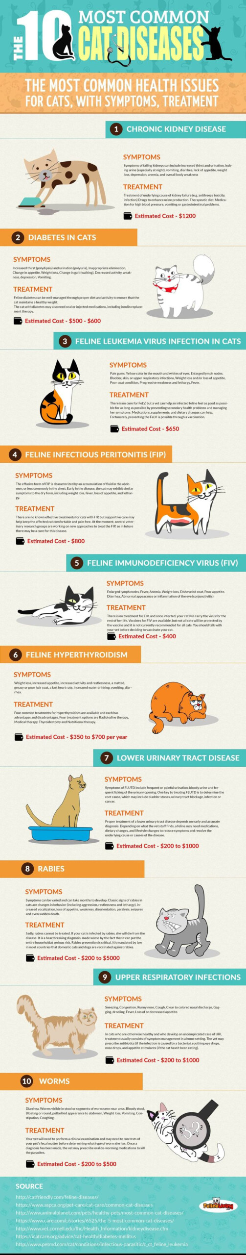 Understand The 10 Most Common Cat Diseases Katzenworld Cat Diseases 