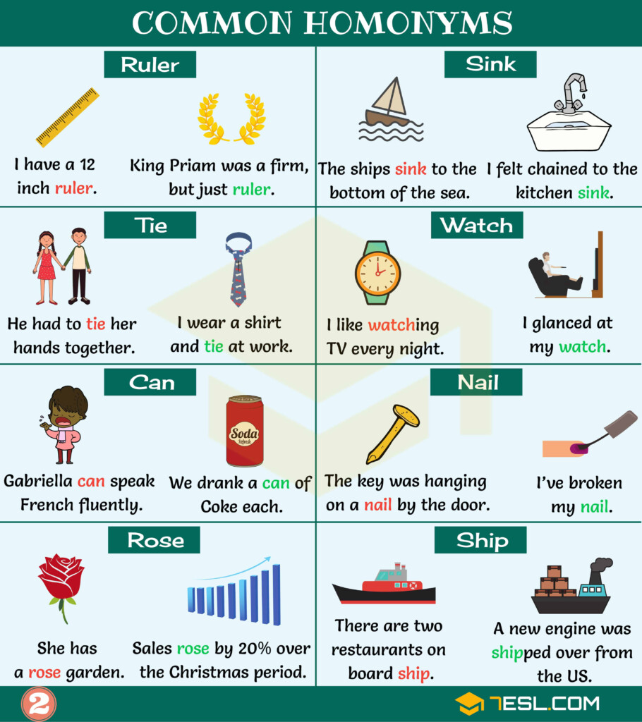 10 Homonyms With Sentences Mascotas