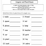 11 Singular And Plural Nouns Worksheets Worksheeto