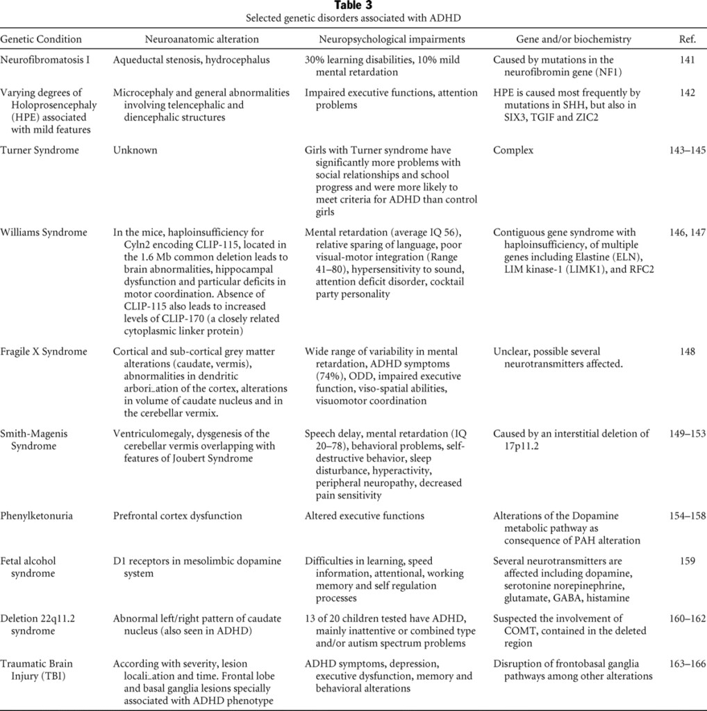 13 Human Variations Worksheet Worksheeto