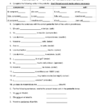 15 French ER Verb Conjugation Worksheet Worksheeto