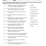 19 The Genetic Code Worksheet Answers Worksheeto