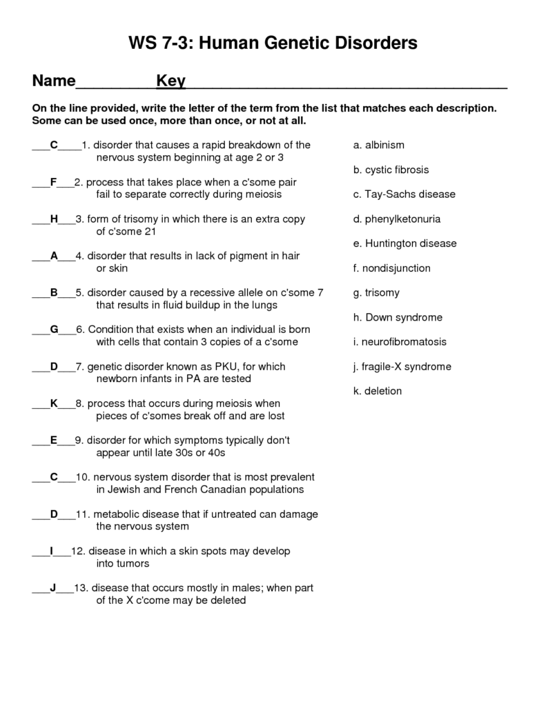 19 The Genetic Code Worksheet Answers Worksheeto