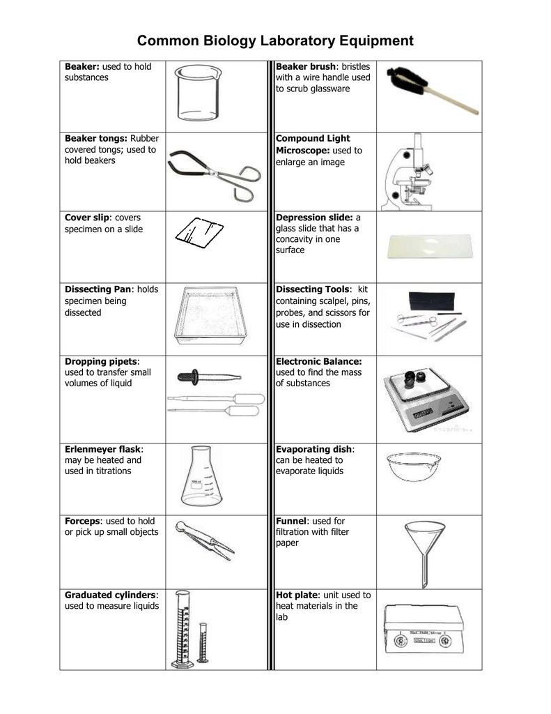 50 Common Laboratory Apparatus Their Uses Pdf Captions Trendy