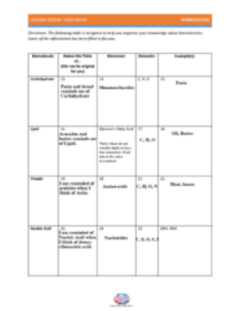 Amoeba Sisters Enzymes Worksheet 0101