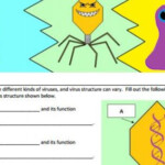 Amoeba Sisters Video Recap Viruses Answer Semanario Worksheet For Student