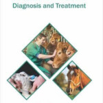 Animal Diseases Diagnosis And Treatment 9781682866986 Boeken Bol