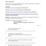 Appositive Worksheet Combing Sentences