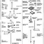 Biology Lab Equipment Worksheet Webbuilderdirectory Info Lab