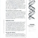 Biology Worksheets