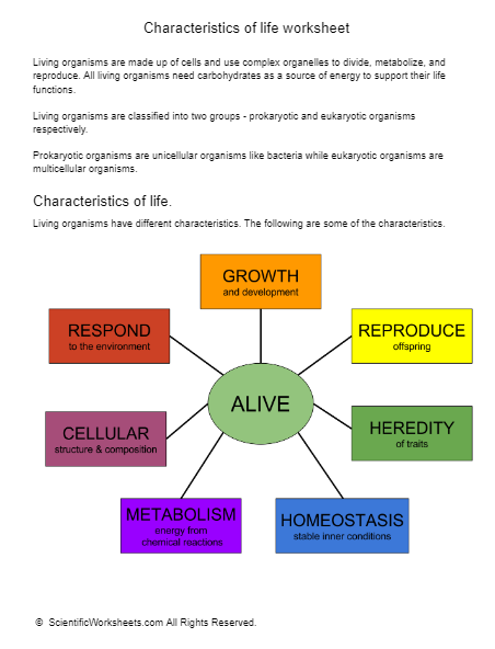 Characteristics Of Life Worksheet Answers Scientific Worksheets