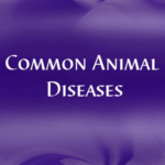 Common Animal Diseases