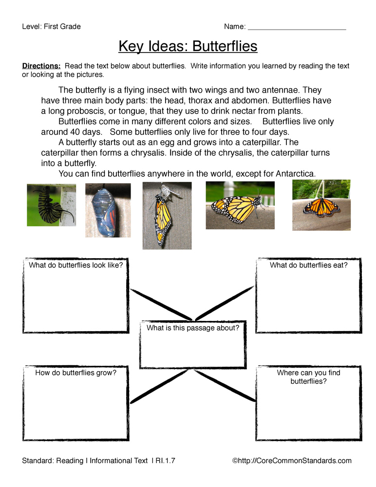 Common Core Geography Worksheets Common Core Worksheets