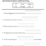 Common Core Grammar Worksheet There Their And They re Answer Key