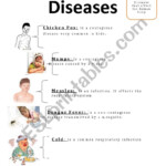 Common Diseases ESL Worksheet By Amygm