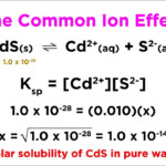 Common Ion Effect On Solubility Pogil Worksheet Nsaus