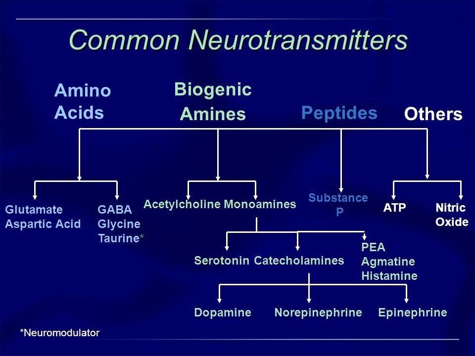 Common Neurotransmitters And Their Classifications Neurotransmitters