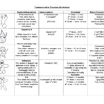 Communicable Diseases Worksheet Communicable Diseases Worksheet