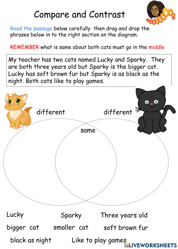 Compare And Contrast Characters Fourth Grade Worksheets Free