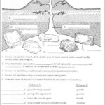 Earth Science Sedimentary Rocks Worksheet