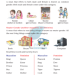 Gender Nouns Worksheet Gender Of Nouns Worksheet Nickolas Brady