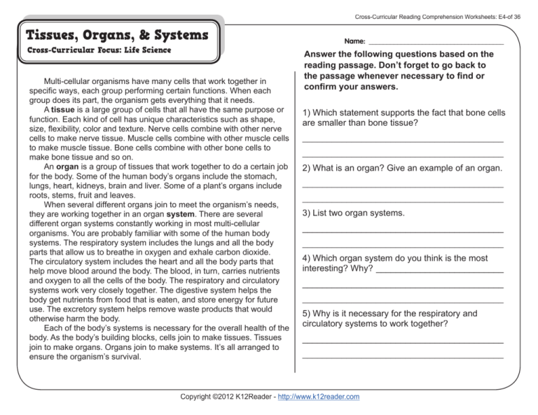 Grade 5 Human Body Celebration Of Knowledge Worksheet Parts Of The 