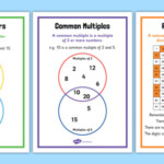 Identify Common Factors Common Multiples And Prime Numbers Worksheet