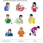 Illnesses Matching Worksheet