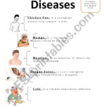 Infectious Disease Worksheets Kkolesar Weebly Com Winspeardrawing09