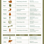 Introduction To Common Medical Prefixes And Postfixes Visual ly In