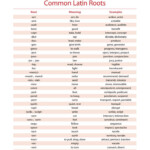 Latin Root Words Root Words Latin Roots