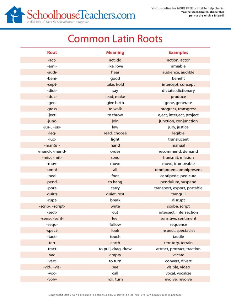 Latin Root Words Root Words Latin Roots