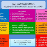 List Of Important Neurotransmitters And Their Functions Sri Amit Ray